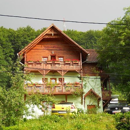 Vila Anna Szováta Kültér fotó