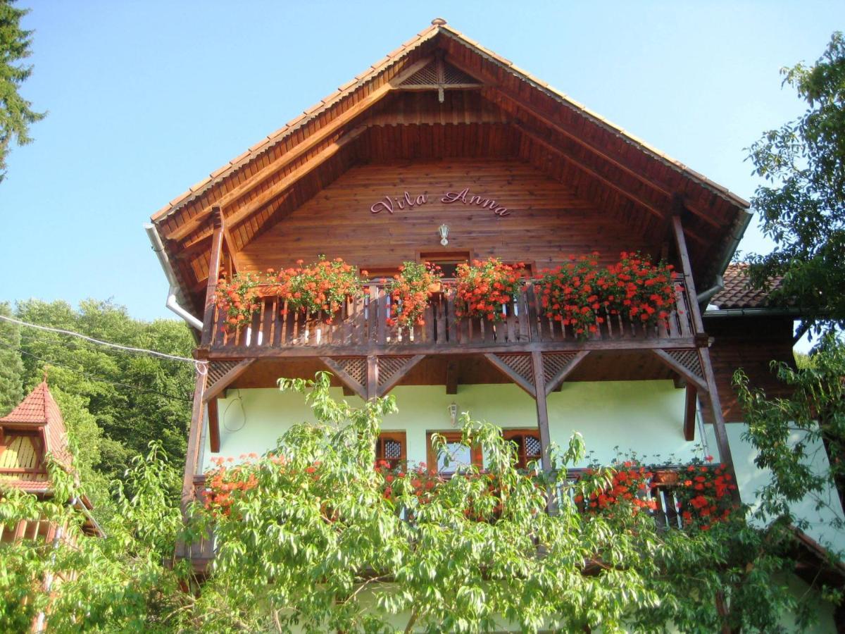 Vila Anna Szováta Kültér fotó