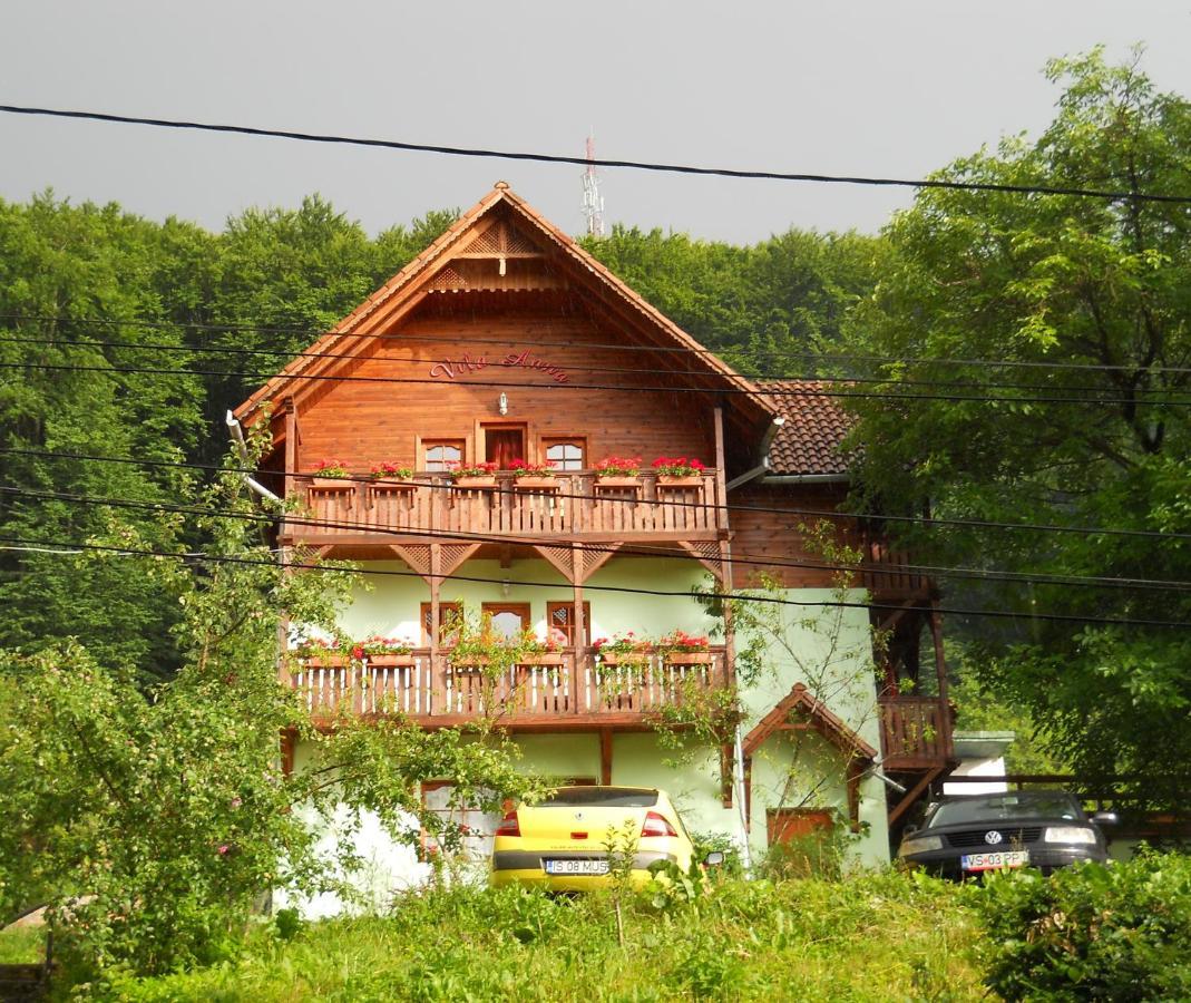 Vila Anna Szováta Kültér fotó