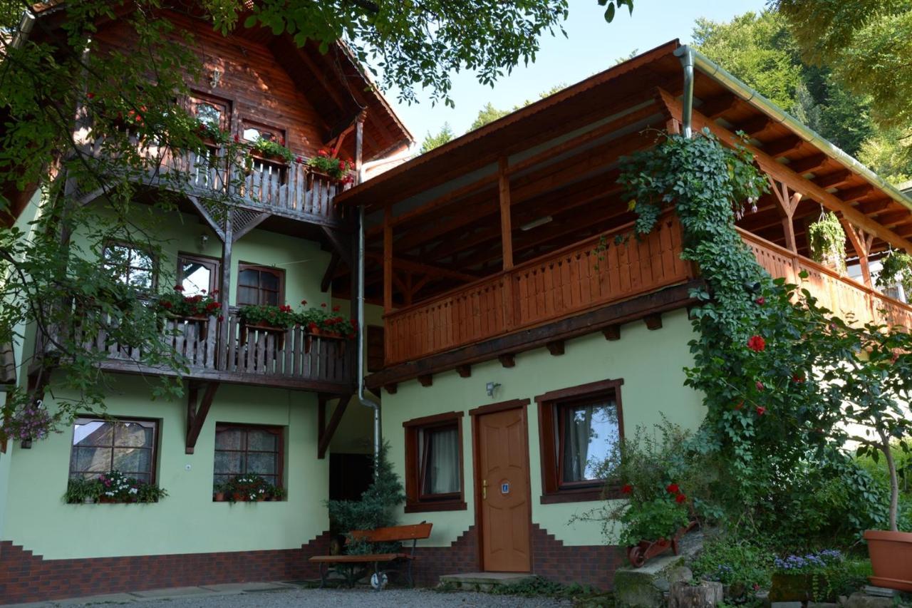 Vila Anna Szováta Kültér fotó