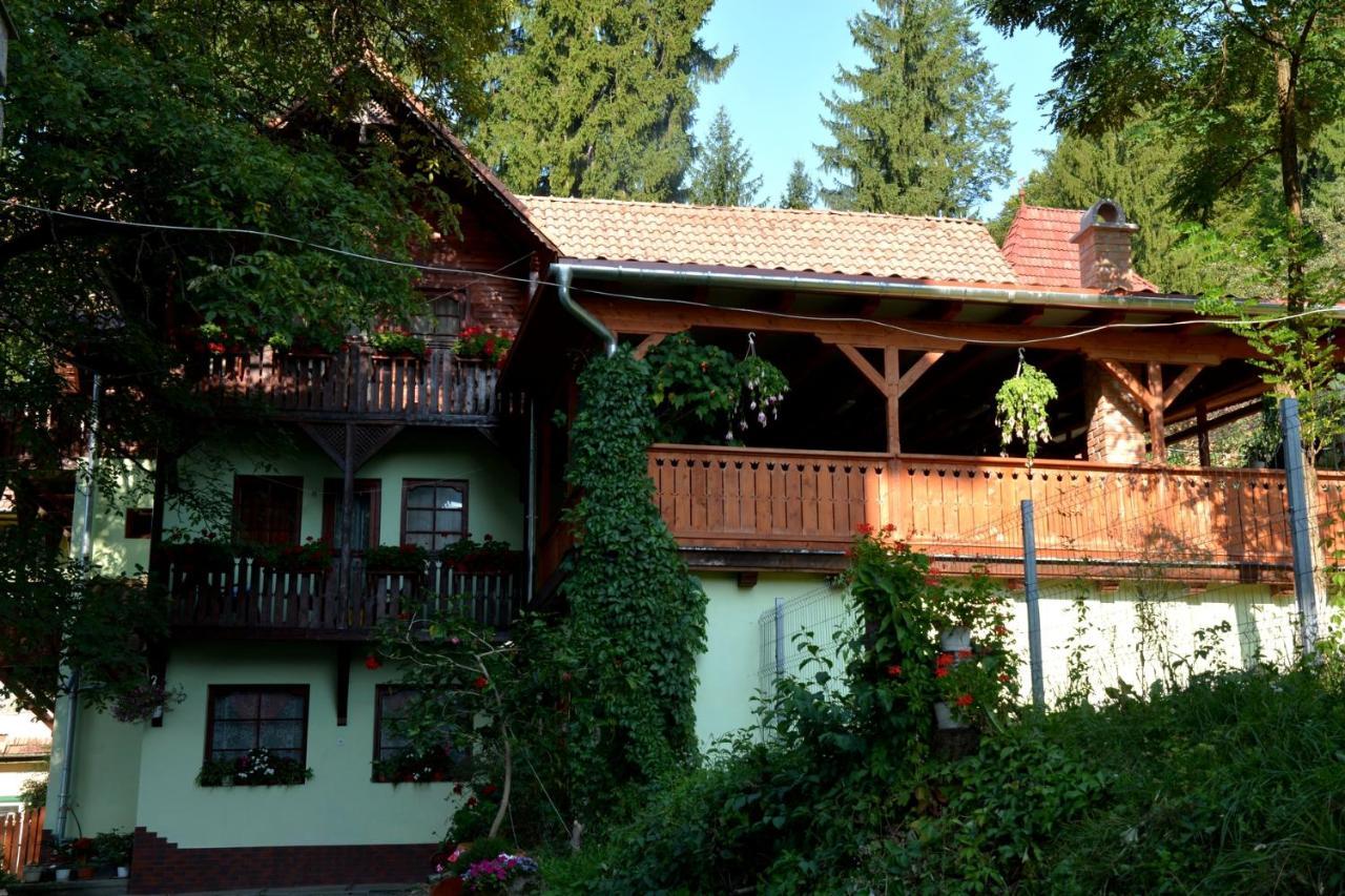Vila Anna Szováta Kültér fotó